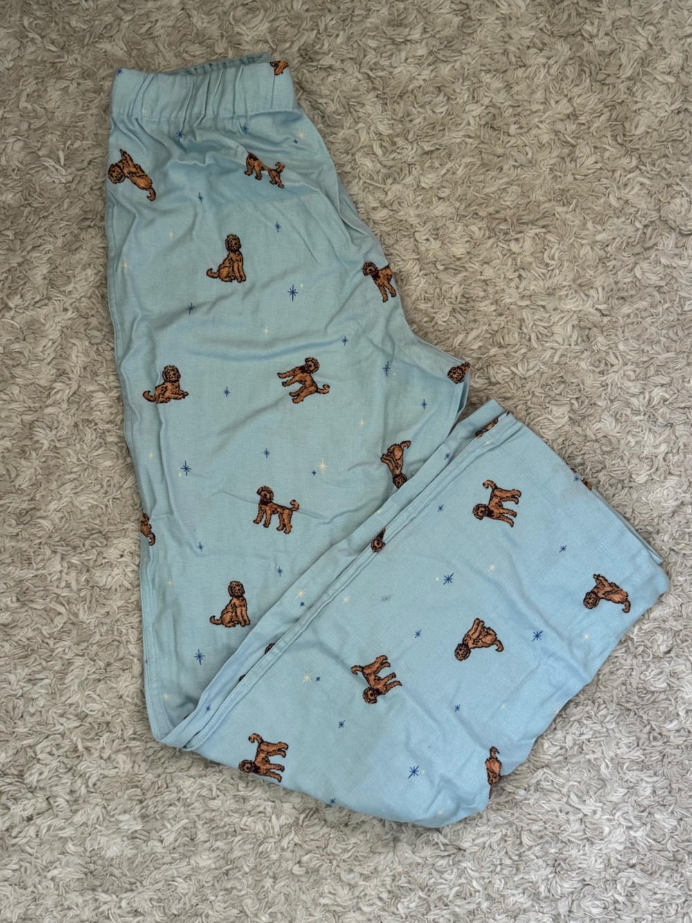 J. Crew Light Blue Puppy Pattern Pajama Bottoms size xs